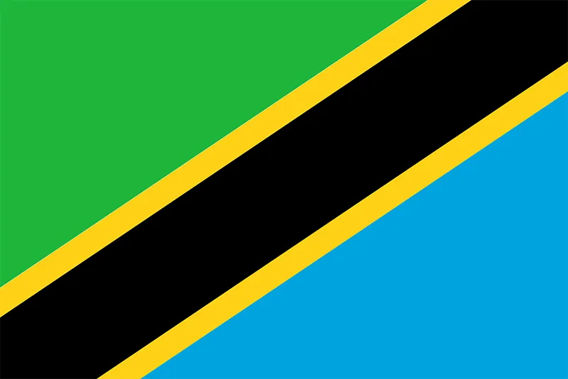 top-best-web-design-agencies-in-tanzania--web-development-companies-in-tanzania-(2024)